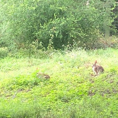 ベルネ Perfect Country-Side Get-Awayヴィラ エクステリア 写真