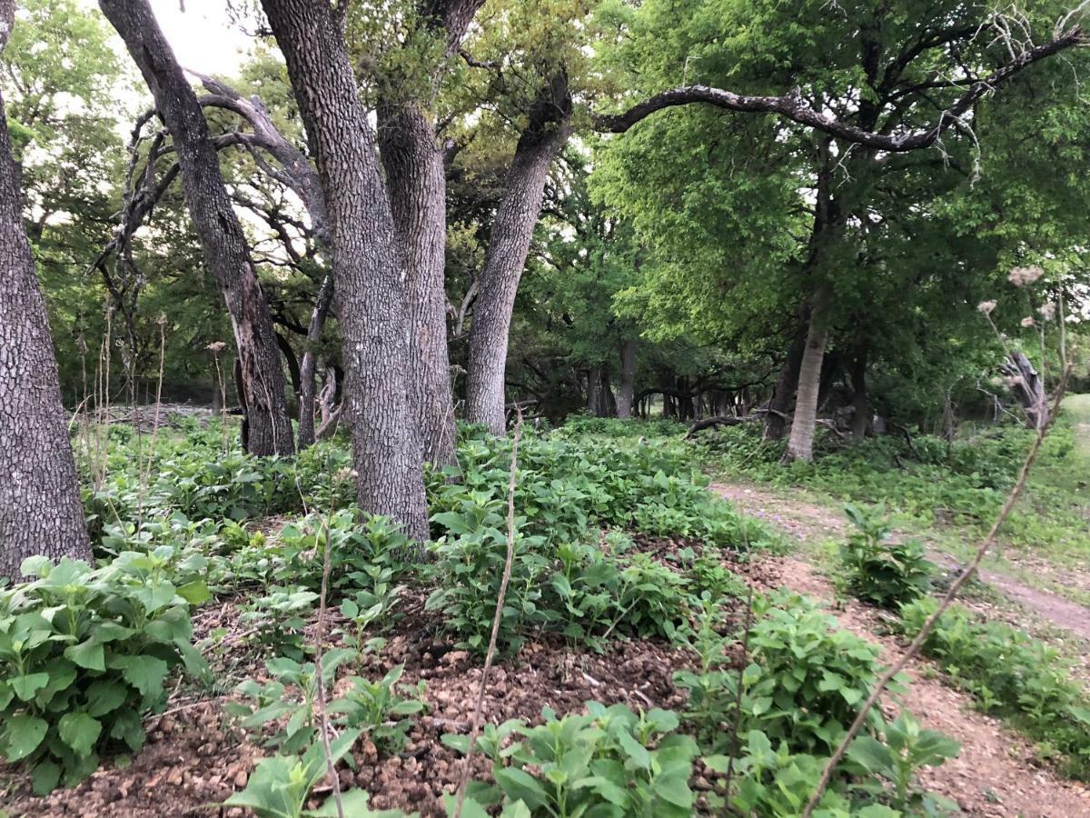 ベルネ Perfect Country-Side Get-Awayヴィラ エクステリア 写真